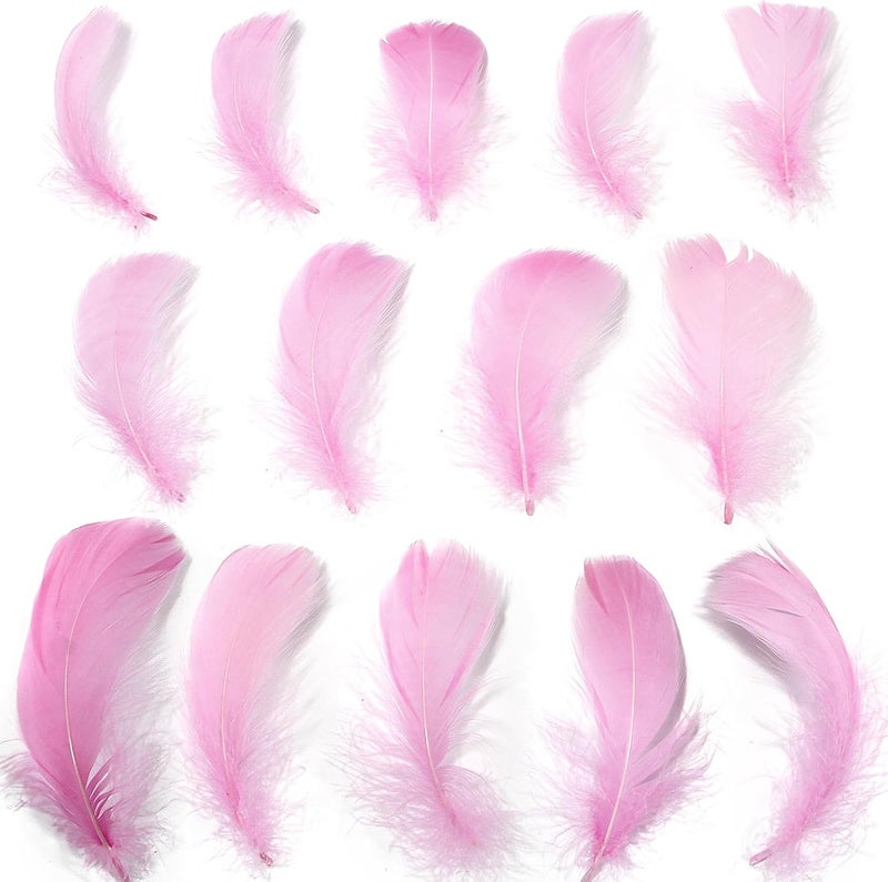 Lamar Feather 300pcs Lavender Feathers 2-3 Inches Bulk Feathers for Crafting, Dream Catcher Accessories, Art Projects, DIY Crafting, Handi Crafts, Party Decoration (Lavender) - Image 2